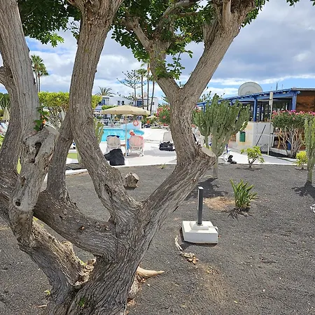 Apartmán Juma Holidays Puerto del Carmen (Lanzarote)